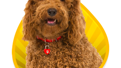 Waffel de Wonderhond