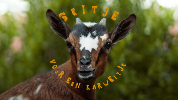 Win een Geitje voor karweitje knuffel