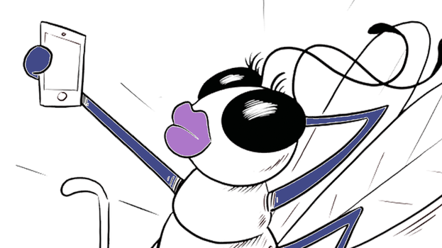 Missie Voelspriet - Regina de Regenbooggoudwesp