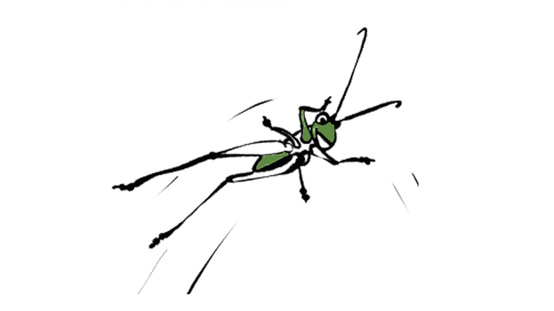 Ezelsoren - Albert de sprinkhaan