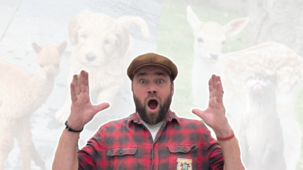 Beestenbrigade - Welk hoofddeksel staat Tim het best?