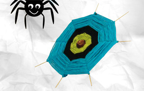 Zappelin - spinnenweb