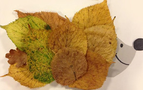 Zappelin - egel van blaadjes