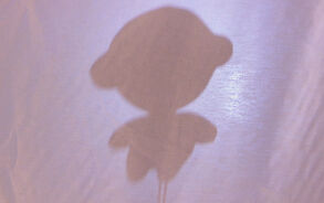 Zin in Zappelin - Zappie schaduwpop