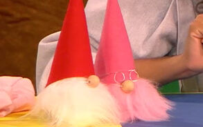 Zin in Zappelin - kabouter