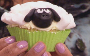 Zin in Zappelin - Schapentaartje