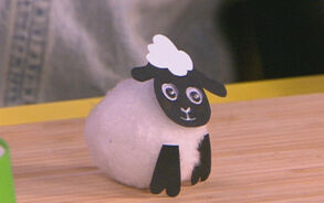 Zin in Zappelin - Schaapje