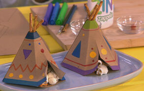 Zin in Zappelin - Tipi tent