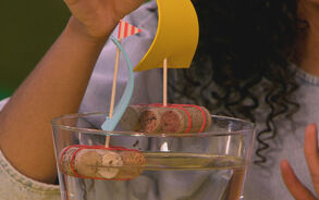 Zin in Zappelin - Zeilboot