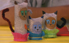 Zin in Zappelin - Kattendoosje