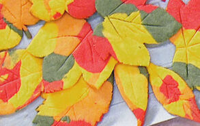 Zin in Zappelin - Gekleurde bladeren