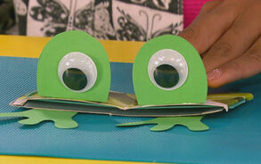 Zin in Zappelin - Kikker 