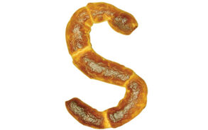 Sinterklaas - Banketletter