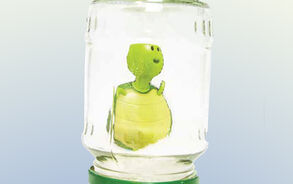 Zappelin - Sneeuwbol