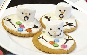 Zappelin - Sneeuwpop koekje