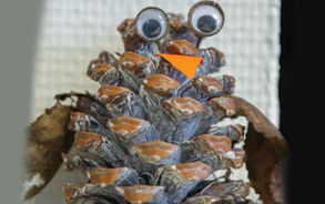 Fenna - Uil knutselen