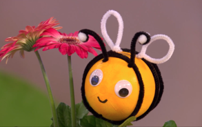 Zin in Zappelin - Bij