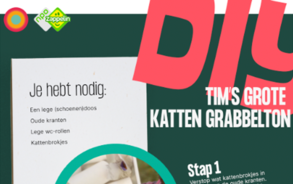 Beestenbrigade - DIY Tim's Grote Katten Grabbelton
