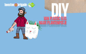 DIY - Maak een plantenpotje van een plastic fles