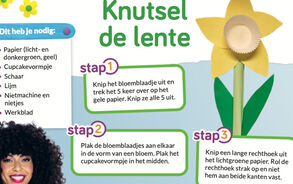 Zin in zappelin - Knutsel de lente