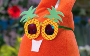 Zin in Zappelin - Pimp je zonnebril