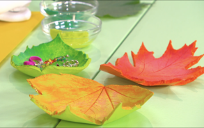 Zin in Zappelin - Herfst-schaaltje 