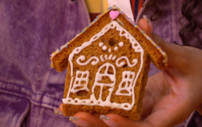 Zin in Zappelin - Ontbijtkoekhuisje