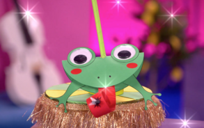 Zin in Zappelin - Roltongkikker