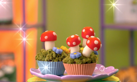 Zin in Zappelin - Cakemos Taartjes