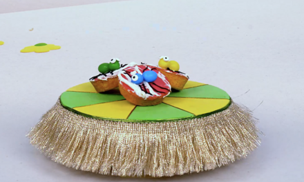 Zin in Zappelin - Spinnencakejes