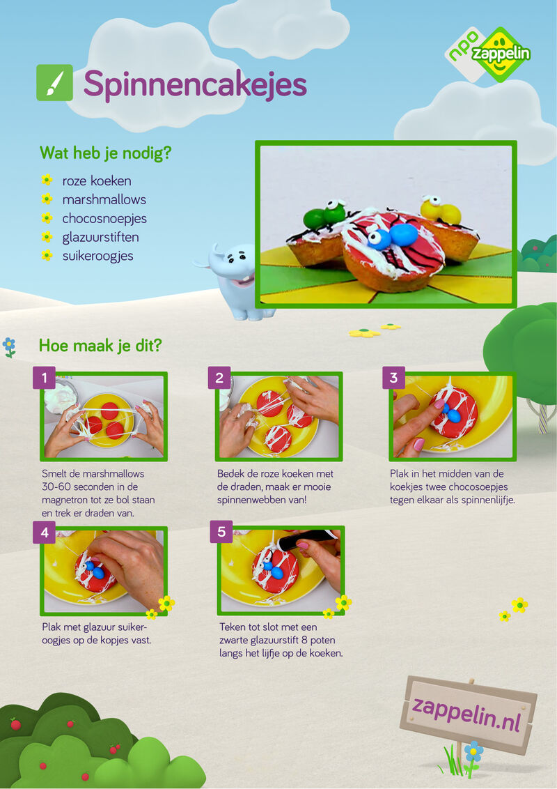 Zin in Zappelin - Spinnencakejes