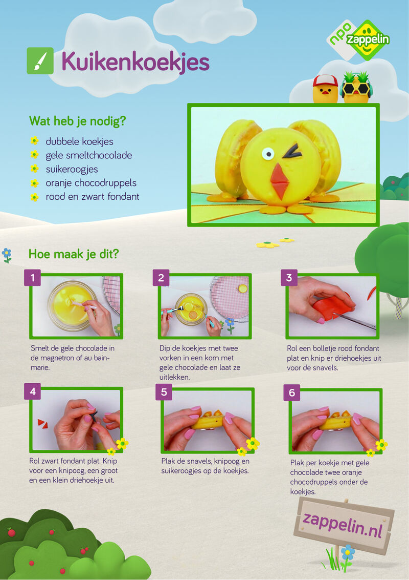 Zin in Zappelin - Kuikenkoekjes