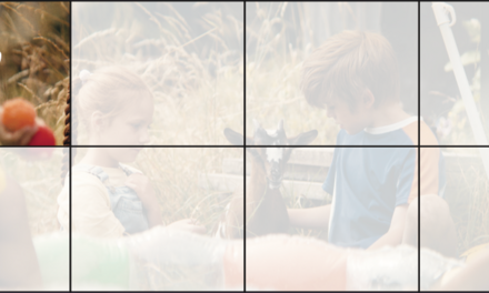 Zin in Zappelin - Geitje voor een karweitje