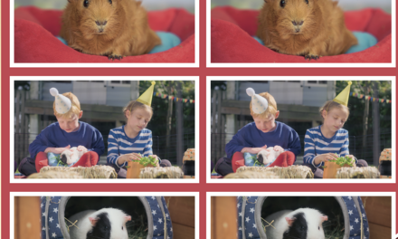 Zin in Zappelin - Olga da Polga Memory 