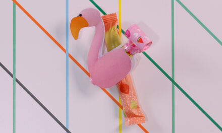 Bingo de Flamingo Traktatie