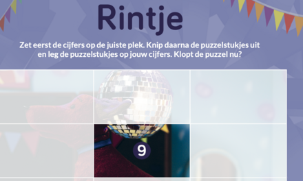 Rintje - puzzel